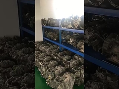 Trasmissione automatica Per diversi modelli