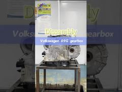 Nuova catena originale 901100 per MG5 TS11