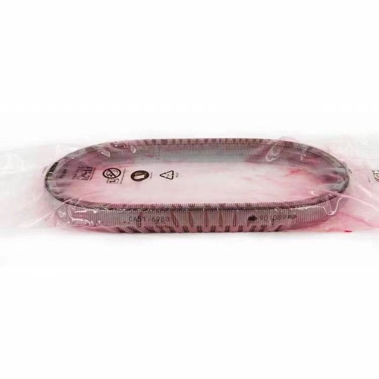 2KG JF017E RE0F10D Catena cintura per TEANA X Trail QASHQAI 901074 901089 901096