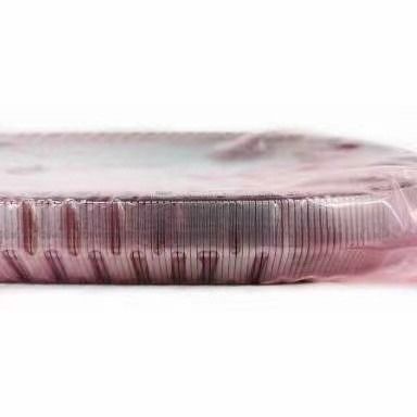 2KG JF017E RE0F10D Catena cintura per TEANA X Trail QASHQAI 901074 901089 901096