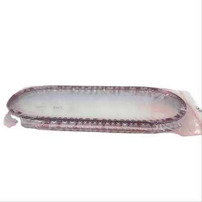 901067 CVT Cintura a catena per Chery TIGGO ARRIZO QR019CHA QR019CHB QR023CHA